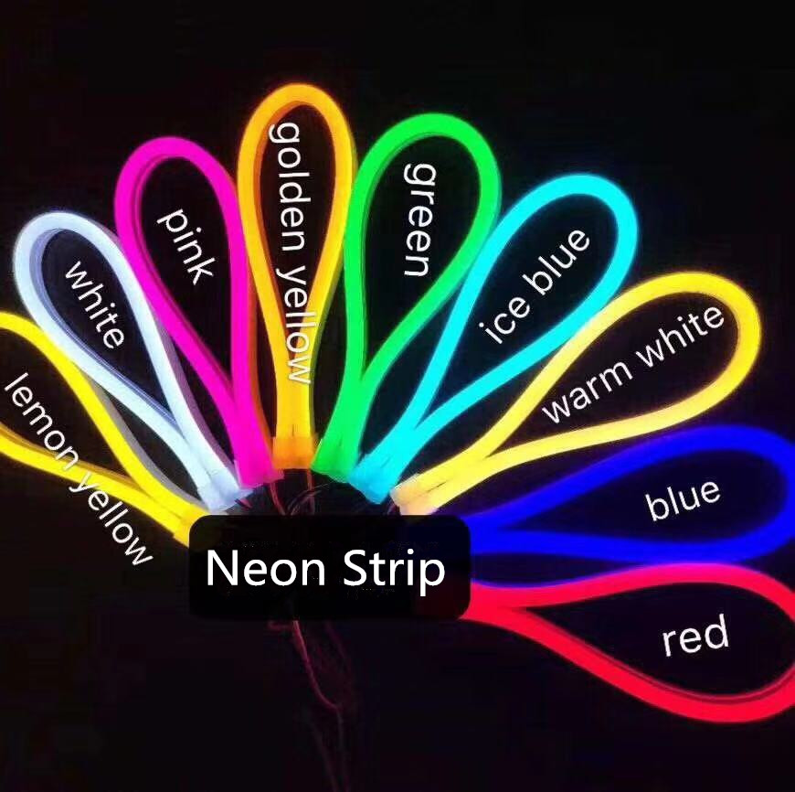 Neon LED Flex Light